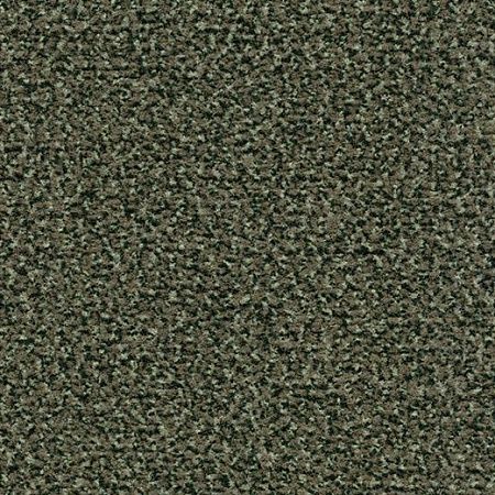 Forbo Coral Classic  4758 olive